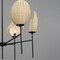Maxim Lighting Maldives 6-Light Chandelier, Black 12606NABK - alternate 2